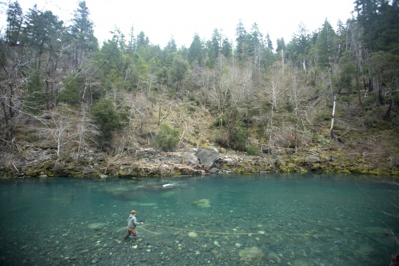 Winter wild steelhead fly fishing on the Chetco River in Southern Oregon.