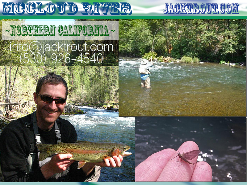 McCloud Fly fishing Banner