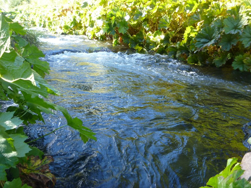 McCloud River