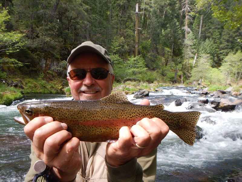 Jack Trout McCloud River Rainbow