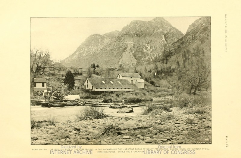 Baird Hatchery 1872