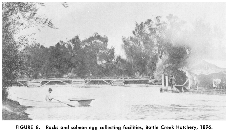 Battle Creek Hatchery 1896