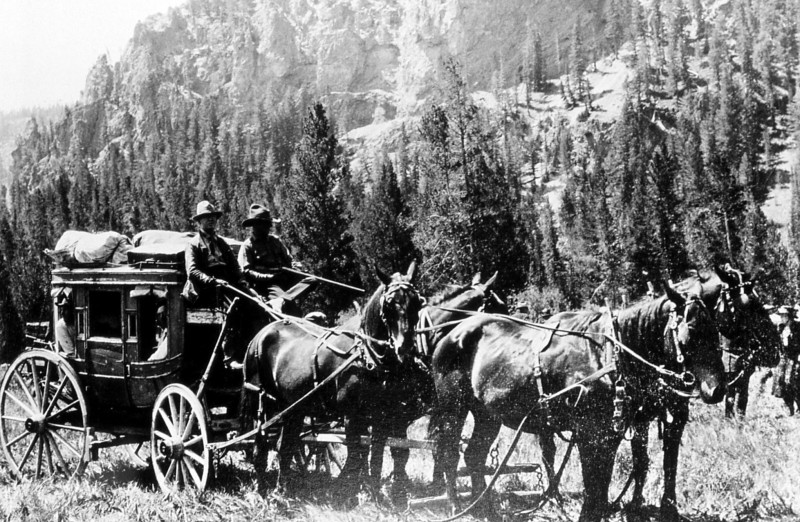 James McBride driving 4-horse coach; Photographer unknown; No date