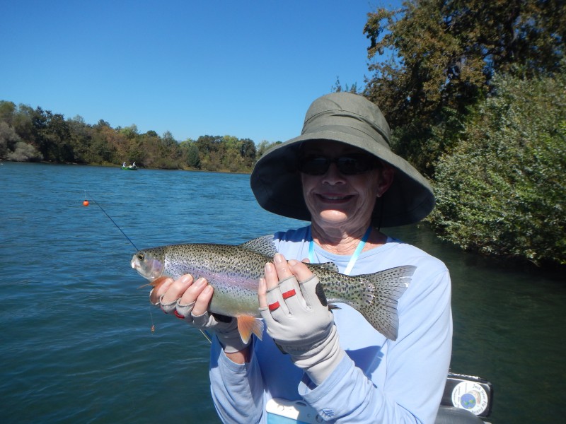 Lower Sac Trout Fishing Guides