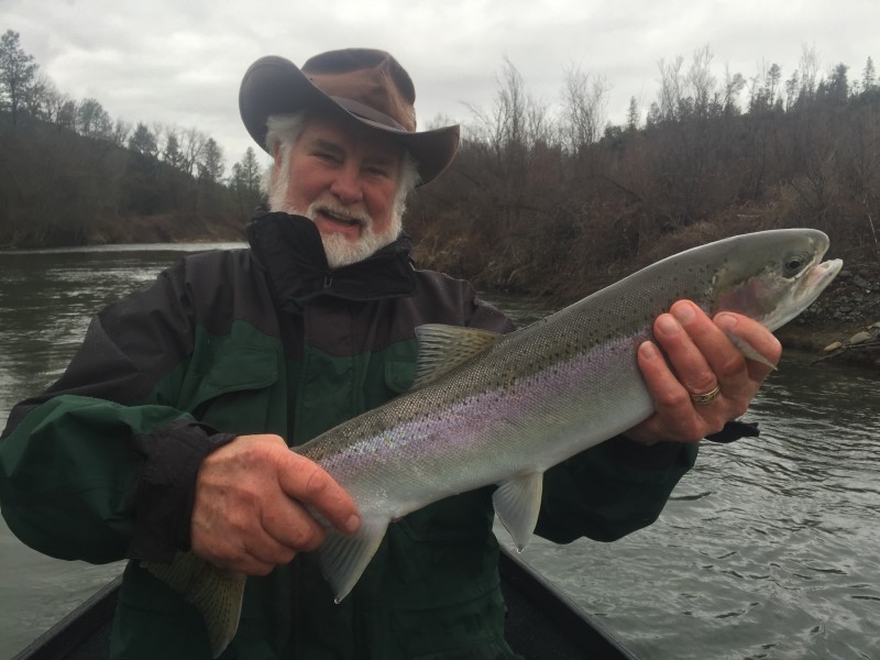 Trinity River Steelhead Guides