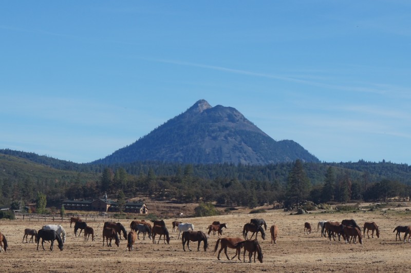 black-butte-shasta-valley