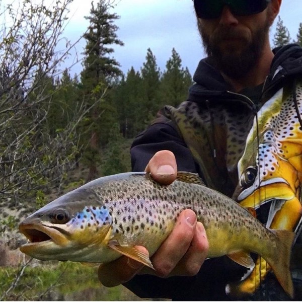 graeagle feather river fly fishing