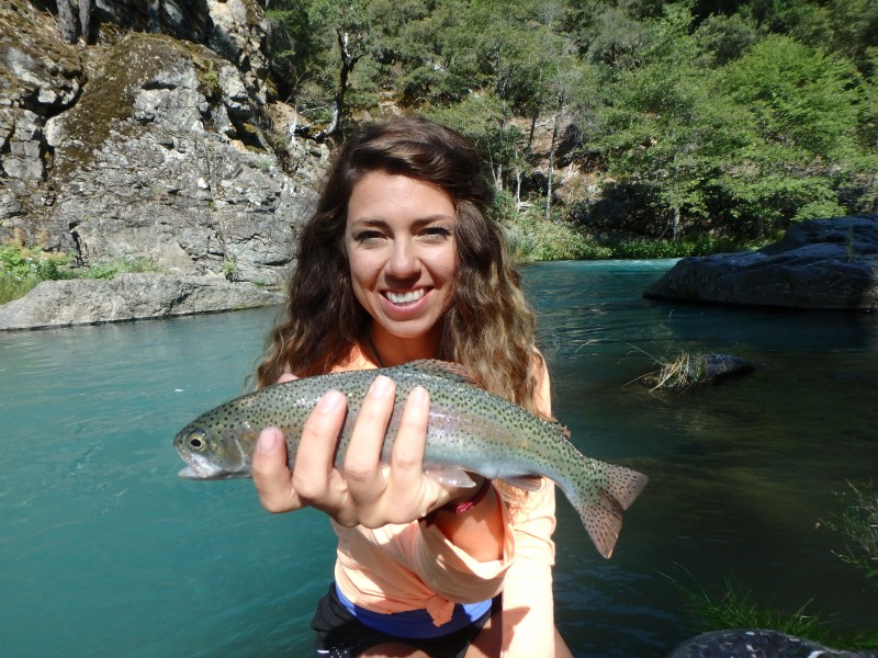 McCloud River Rainbow Dry Fly