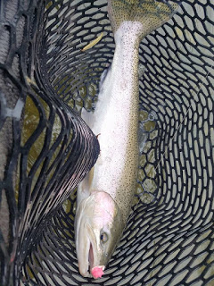 Fishing Klamath River