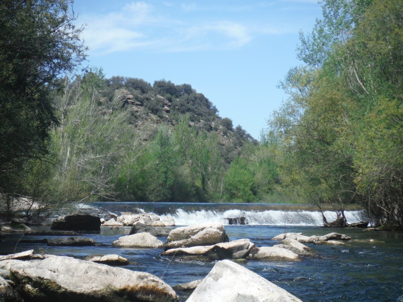 Guides for fly fishing near Barcelona