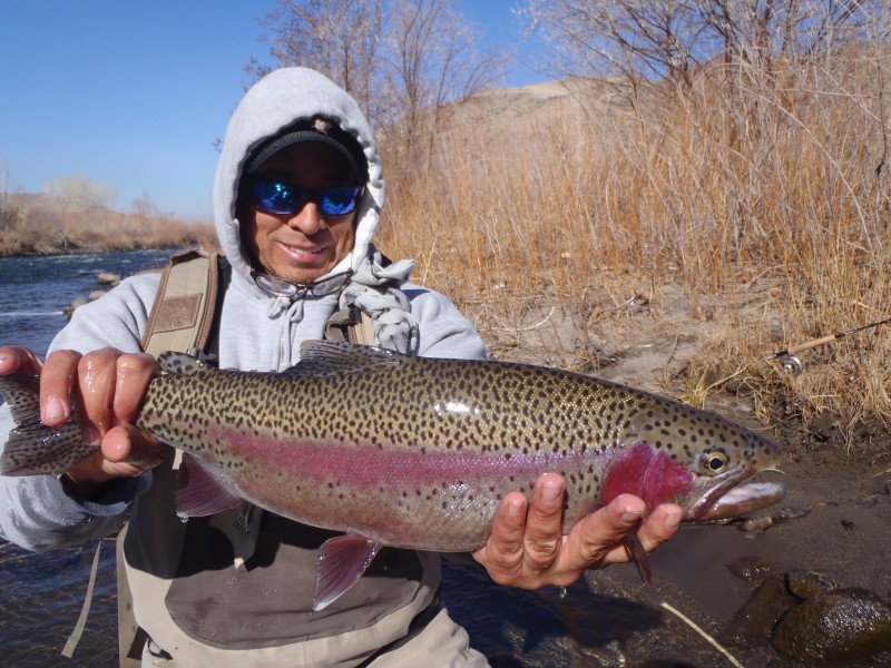 Fly Fishing Truckee River