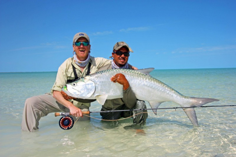 big-tarpon