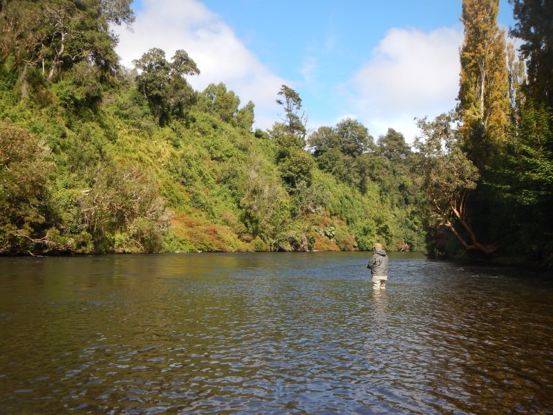 Rio Maullin Trout fishing