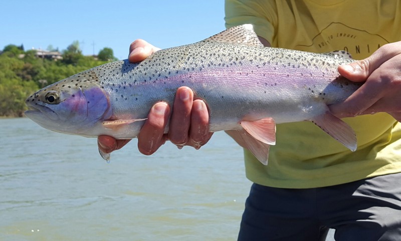 Top Fly Fishing Women