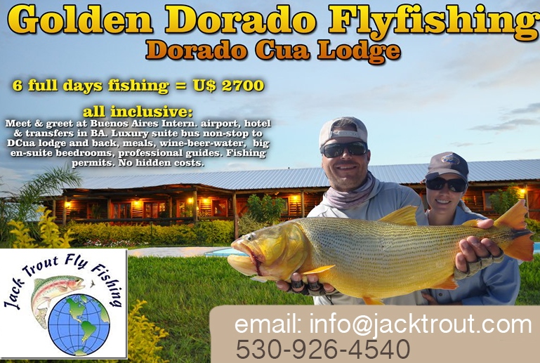 Fly Fishing Golden Dorado