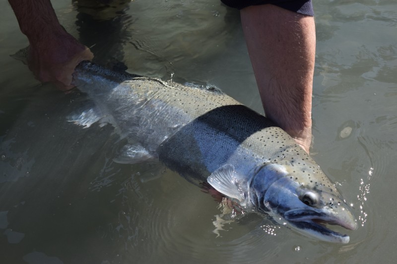 Upper Chetco Fishing Oregon