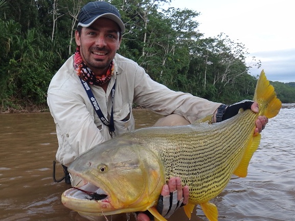 Golden Dorado Fly Fishing South America