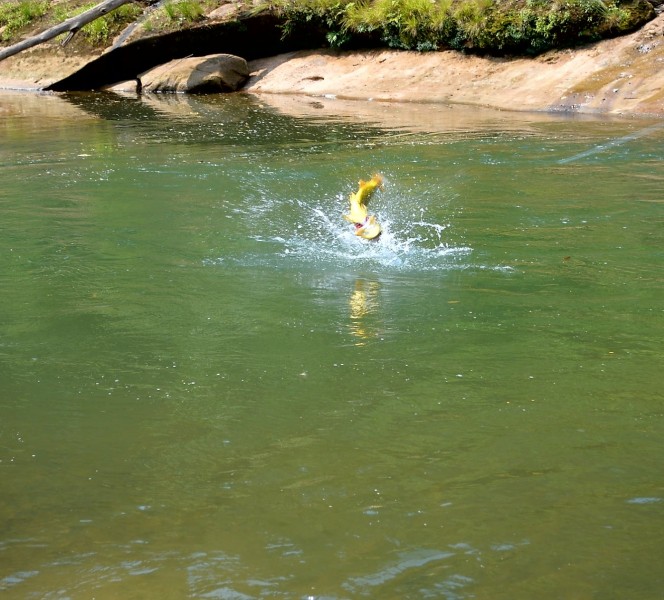 Fishing Bolivia