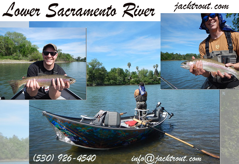 Lower Sacramento Fly Fishing