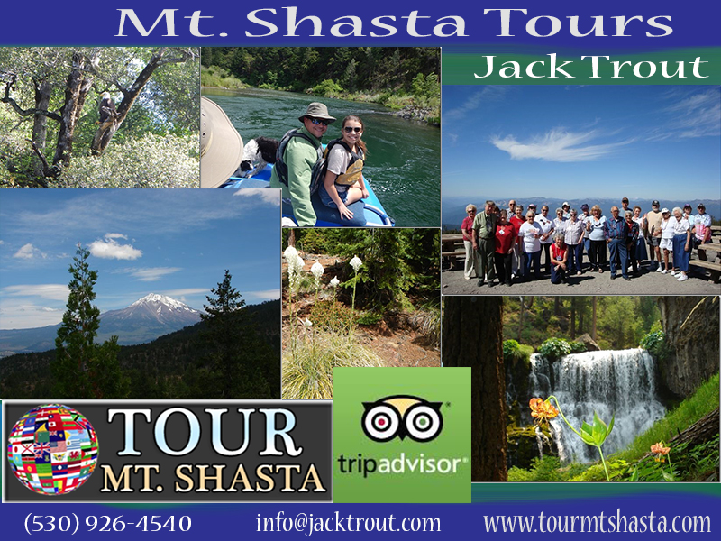 Mount Shasta Tours