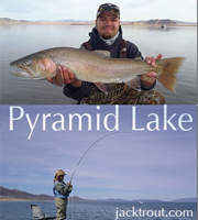 fishing pyramid lake