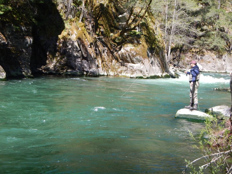 Floating the Upper Sacramento River