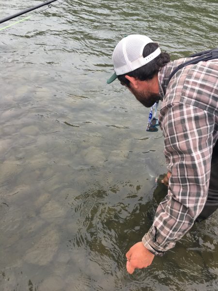 Lower Klamath fly fishing guides