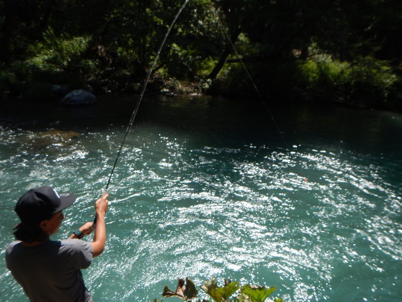 Youth Fly Fishing Instruction California