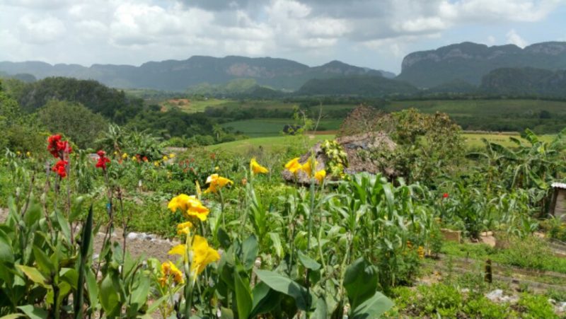 Tours to Vinales Valley Cuba