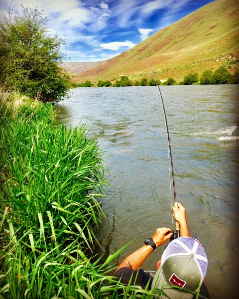 Fly Fishing guides steelhead Deschutes