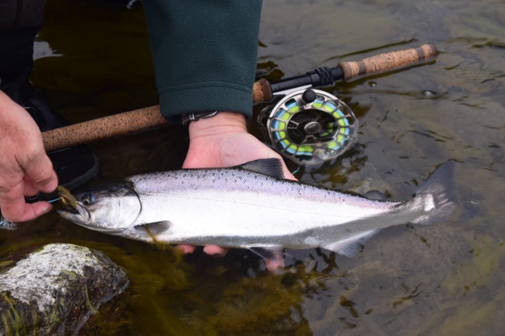 Lower Klamath California fly fishing