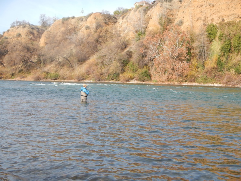 fly fishing winter Lower Sacramento River