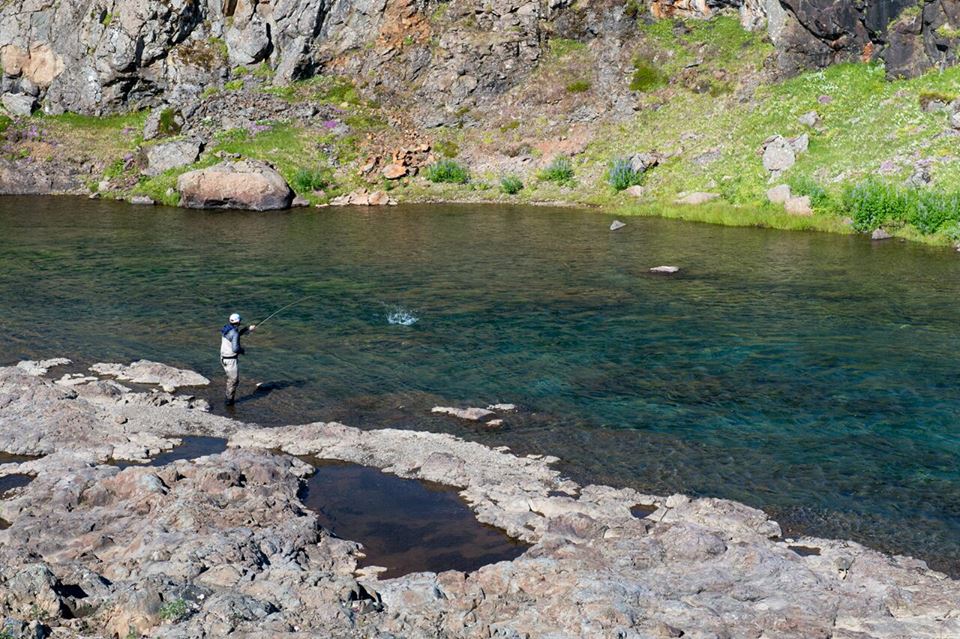 Day Trips Iceland Fly Fishing