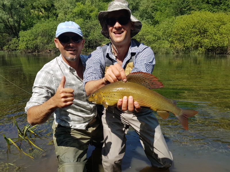 Fly Fishing Bosnia