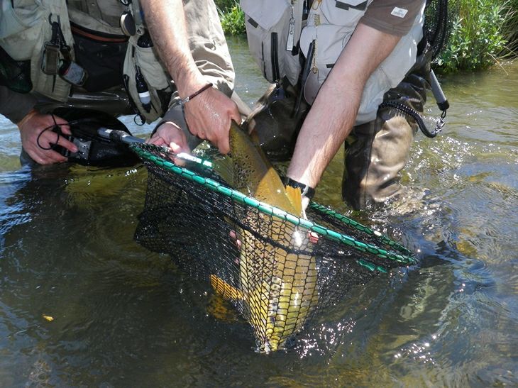 Barcelona fly fishing guides