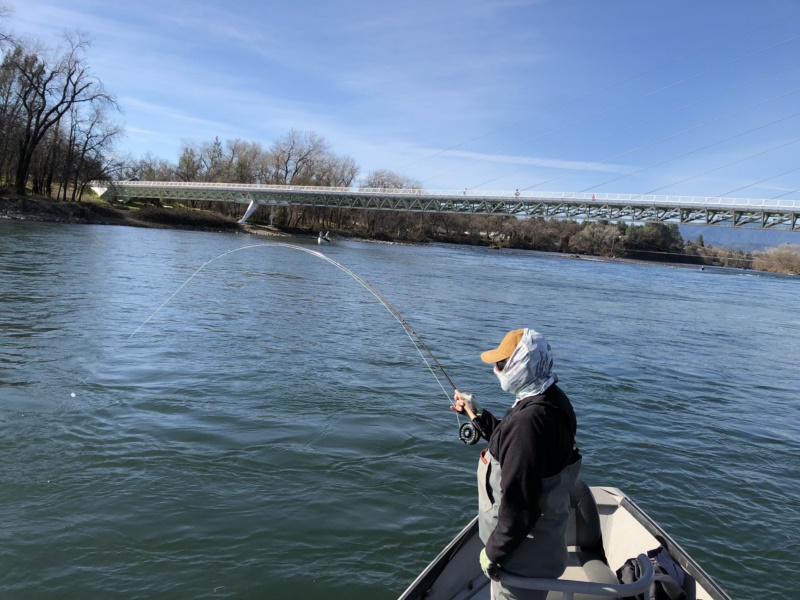 Fishing Lower Sac Nor Cal