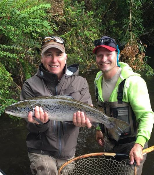 Salmon on flies Chile