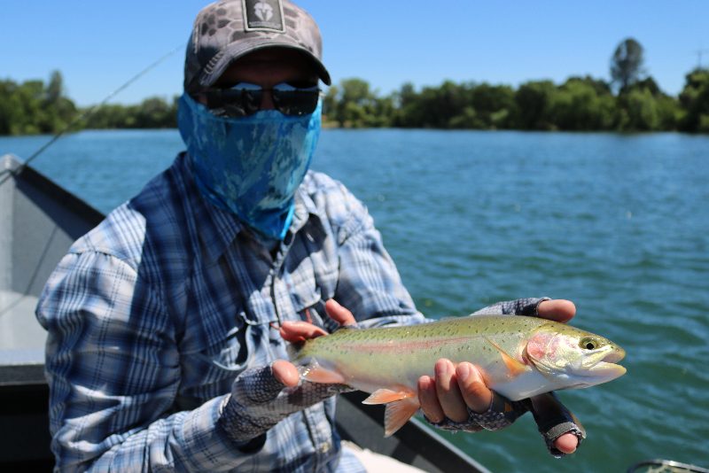 Red Bluff Fly Fishing Guides