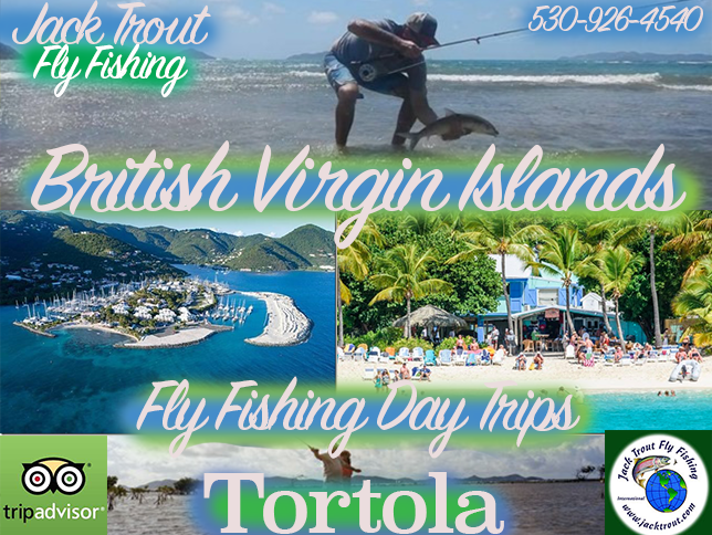 Fly fishing Guide Tortola