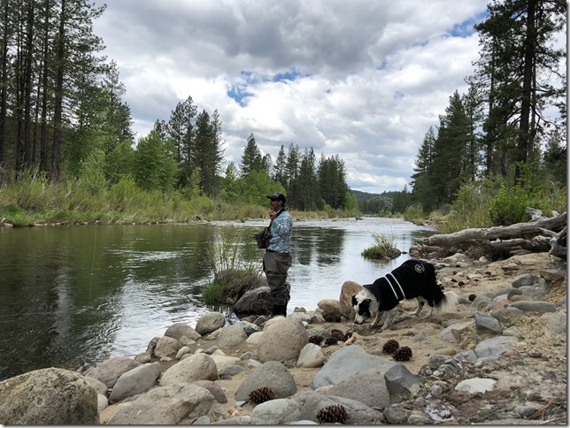 Jack Trout MF Feather River