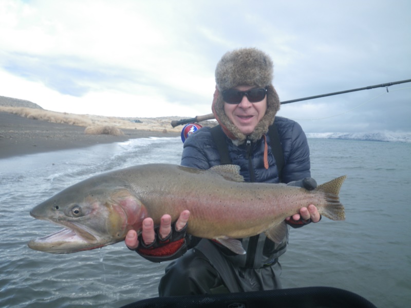 Pyramid Lake Lahontan Cutthroat Trout 