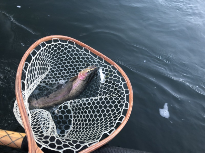 Fishing Report Klamath River 2019