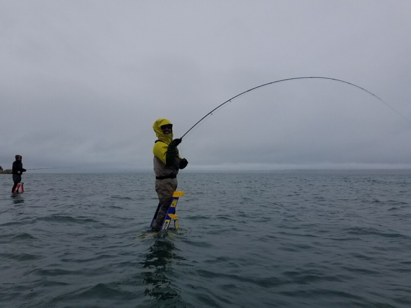 Group fishing Pyramid Lake