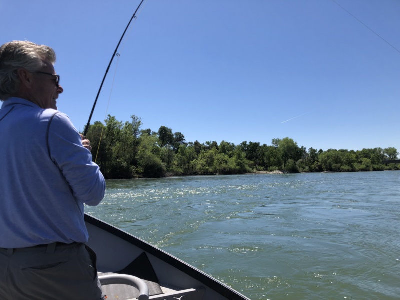 Spring 2019 fishing report Lower Sac