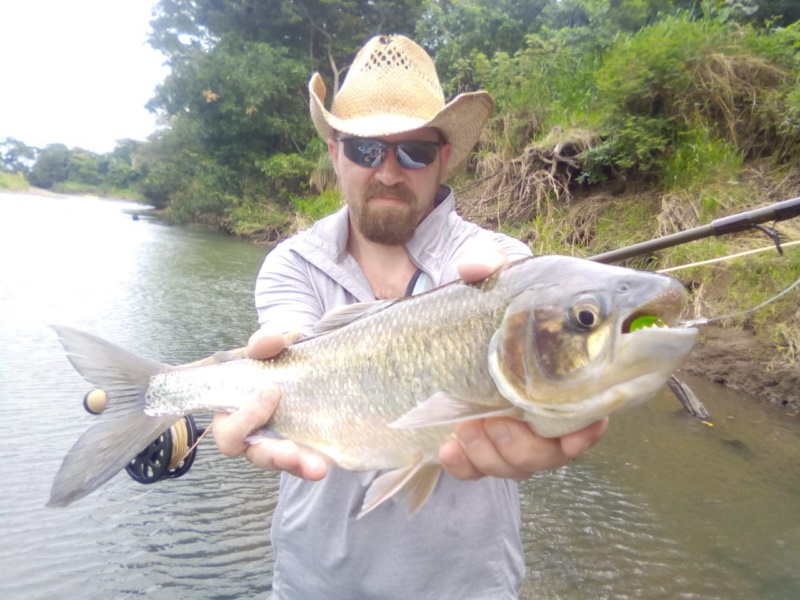 Fly fishing guides Puerto Rico   - Outfitter & Actor