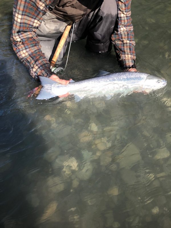 Swinging Spey Steelhead Chetco Guide