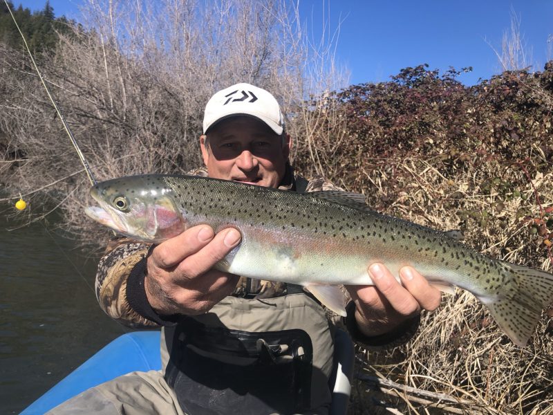 steelhead report guide Klamath 