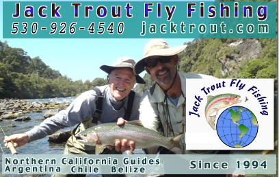 Jack Trout Fly Fishing