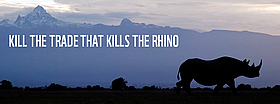 Rhino Save them!