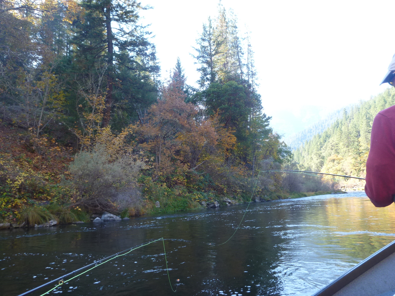 Lower Klamath Jack Trout Fly Fishing